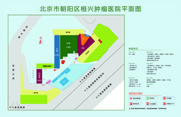 JJ插BB网址北京市朝阳区桓兴肿瘤医院平面图